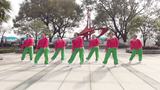 小丽子明广场舞 冰河时代 正面动作表演版与动作分解