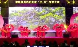 谢岗大龙幸福玫瑰广场舞 中国美 （演出版）