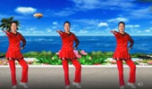黄市彩色小屋广场舞《美丽中国走起来》健身舞 演示和分解动作教学