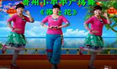 贵州小平平广场舞《荞麦花》演示和分解动作教学 编舞小平平