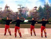 中国牛 舞动中原馨蕾广场舞
