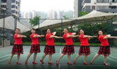 重庆叶子广场舞《蝶恋花愿为花更美》原创中三 演示和分解动作教学