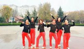 山东李华广场舞《我们不一样》演示和分解动作教学 编舞李华