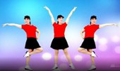 乔茜广场舞《DJ情人鹤顶红》32步零基础入门步子舞 演示和分解动作教学