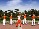 舞动旋律2007健身队《女神我的爱》原创 正面演示 背面演示 分解教学