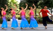 凤凰六哥广场舞《让我听懂你的语言》傣族舞 演示和分解动作教学 编舞六哥