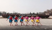 清河清清广场舞《吉祥欢歌》双人对跳藏族舞 演示和分解动作教学 编舞铃铛