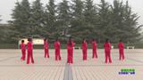 陕西华州小丫舞团瓜坡丽丽广场舞 暖暖的幸福 表演