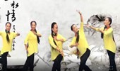丽珠广场舞《又见雨夜花》双晃手舞姿组合系列之三 演示和分解动作教学