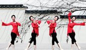 小龙女广场舞《宫墙柳》古典舞 演示和分解动作教学 编舞小龙女