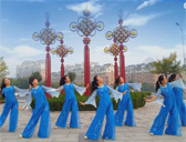 渤海明珠广场舞 美丽乡村 正背表演与动作分解