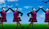 阿连广场舞《花楼恋歌》简单时尚 演示和分解动作教学 编舞阿连