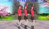 河南周口姐妹广场舞《傻女人》DJ32步摆胯舞 演示和分解动作教学 编舞华姐