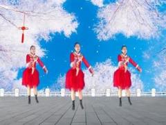 济南朵朵广场舞《全家福》演示和分解动作教学 编舞朵朵