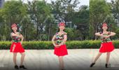 贵州开心广场舞《草原绿了》网红舞曲单人水兵舞零基础 演示和分解动作教学