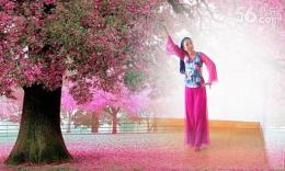 娇舞敏敏广场舞《我爱西湖的花和水》