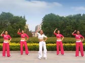 舞动旋律2007健身队 喜欢你 心随编舞 正面演示 背面演示 分解教学