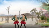 红蝶广场舞《爱上一朵花》双人对跳24步弹跳 演示和分解动作教学