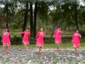 安徽池州舞之美广场舞 红姑娘儿 附分解教学及背面演示
