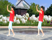 华美舞动原创广场舞 无聊的游戏 32步含教学