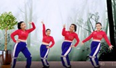 惠州梅子广场舞《灰姑娘》网红曲 演示和分解动作教学 编舞惠州梅子