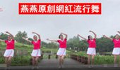 燕燕广场舞《花开的时候你就来看我》网红流行舞蹈 演示和分解动作教学