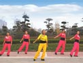 舞动旋律2007原创健身队 穿越 附分解教学和背面演示