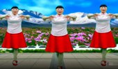 合肥庆庆广场舞《东北妞儿》简单步子舞36步 演示和分解动作教学 编舞庆庆