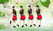 梅子广场舞《幸福爱河》水兵舞 演示和分解动作教学 编舞梅子