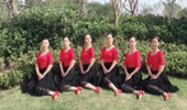 杨杨广场舞《语花蝶》演示和分解动作教学 编舞杨杨
