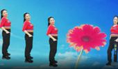 河南丽儿广场舞《纤夫的爱》简单32步 演示和分解动作教学 编舞丽儿