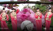 玫瑰学慧广场舞《你像三月桃花开》网红流行 演示和分解动作教学