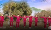 谷城元琴广场舞《红歌连跳》简单16步大众舞蹈 演示和分解动作教学