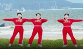 广州太和珍姐广场舞《风的季节》网红流行舞 演示和分解动作教学 编舞太和珍姐