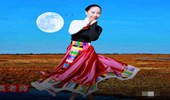 春英广场舞《月光下的美人》藏族 演示和分解动作教学 编舞春英