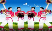 女女广场舞《中国红》花球舞 演示和分解动作教学 编舞女女