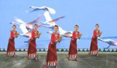 汕头燕子广场舞《我的九寨》藏族舞 演示和分解动作教学 编舞燕子