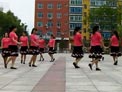 春花广场舞 大中国 圈舞 中四步 含口令分解动作