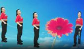 河南丽儿广场舞《甜甜的小妹》简单32步 演示和分解动作教学 编舞丽儿