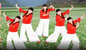 阿珠广场舞《荞麦花》网红神曲抒情 演示和分解动作教学 编舞阿珠