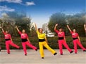 舞动旋律2007原创健身队 金色的天空(芭比的天空) 附背面演示和分解教学