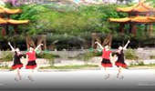 红蝶广场舞《爱情天堂》双人对跳恰恰 演示和分解动作教学 编舞红蝶