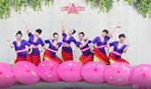 山东莲雨荷广场舞《欢乐的泼水节》原创傣族伞舞 演示和分解动作教学