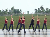 Li.Li健身操（原创） 热身操DJ串烧 惠州市博罗县广场舞排舞协会