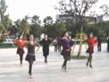 温州燕子广场舞 印度锐舞