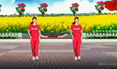 惠州石湾玲玲广场舞《DJ预谋》16步网红插兜舞动感活力 演示和分解动作教学