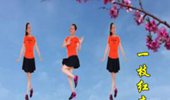 阿华广场舞《一枝红杏》动感步子舞 演示和分解动作教学 编舞阿华