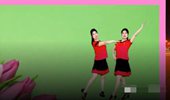 秋天雨广场舞《跳到北京》双人对跳简单好看 演示和分解动作教学