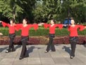 北京灵子广场舞 爱在天地间 含背面演示