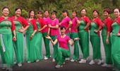 谷城元琴广场舞《云南欢乐歌》简单易学40步圈圈舞 演示和分解动作教学